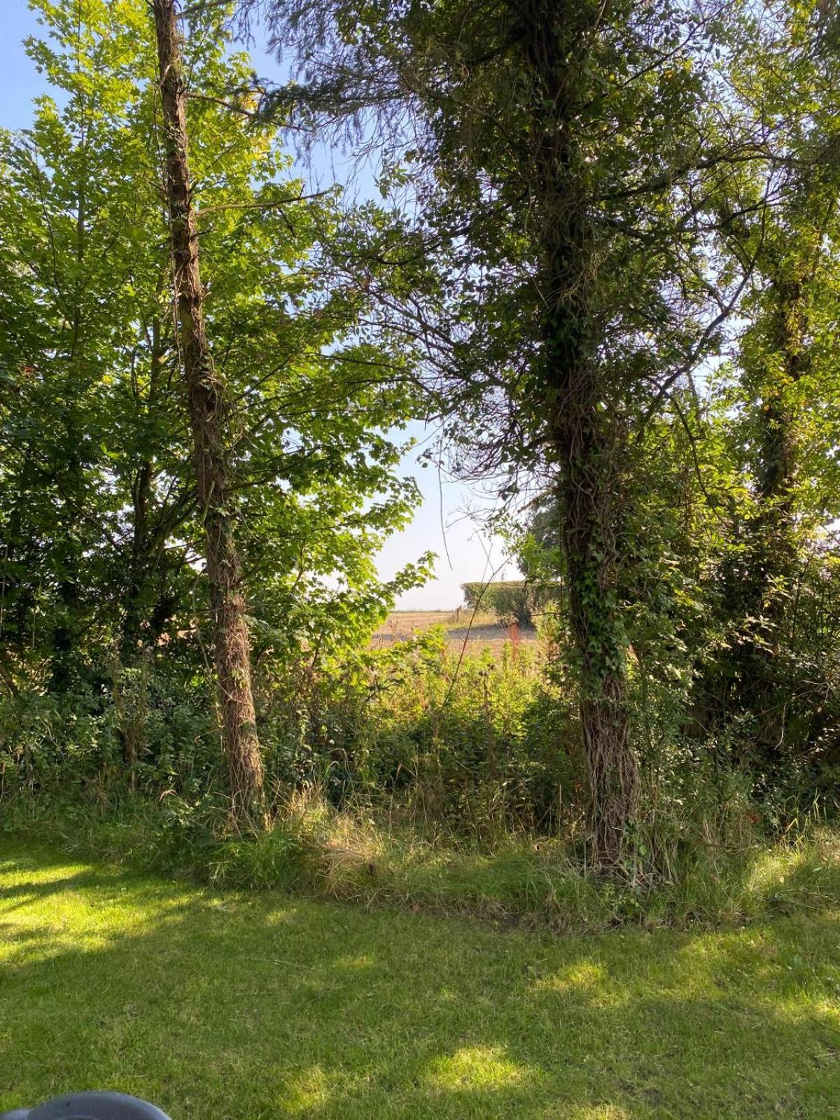 Kildare Countryside Pods Villa Exterior foto